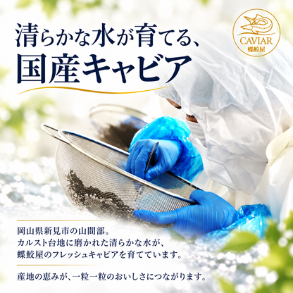 新見フレッシュキャビア ベステル｜選べる味・内容量