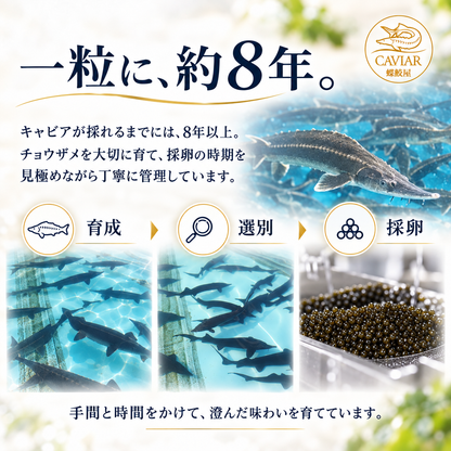 新見フレッシュキャビア ベステル｜選べる味・内容量