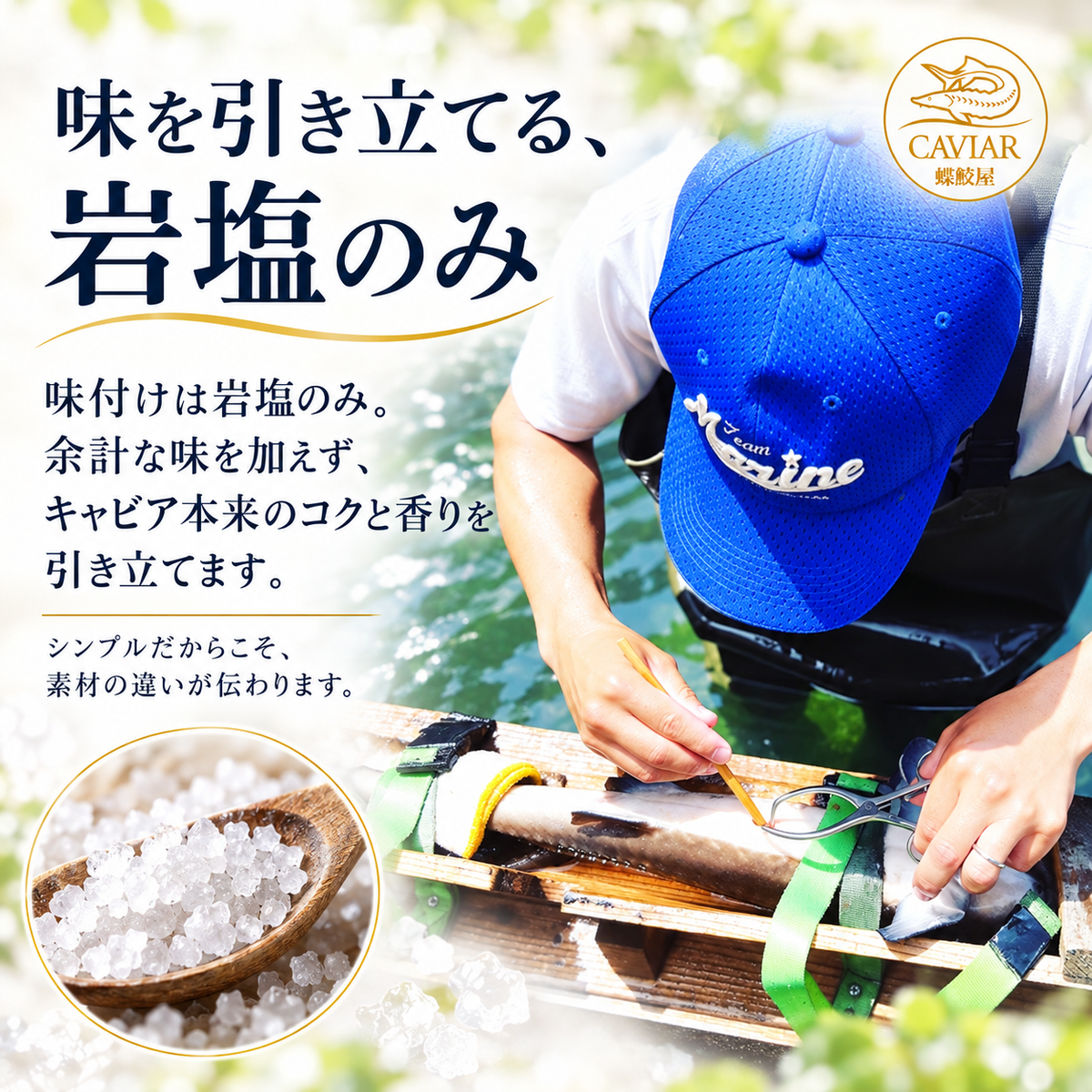 新見フレッシュキャビア シベリア 15g｜選べる3つの味