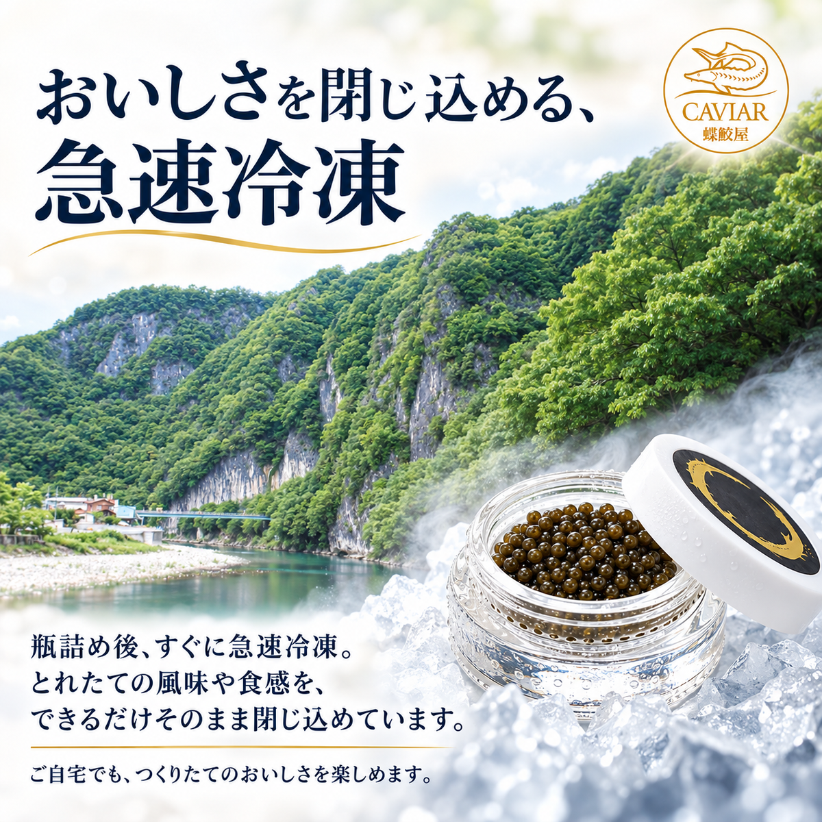 新見フレッシュキャビア シベリア 15g｜選べる3つの味