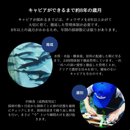 【数量限定】新見フレッシュキャビア 15g 百姓庵の塩仕立て － 日本橋ゆかり監修 －